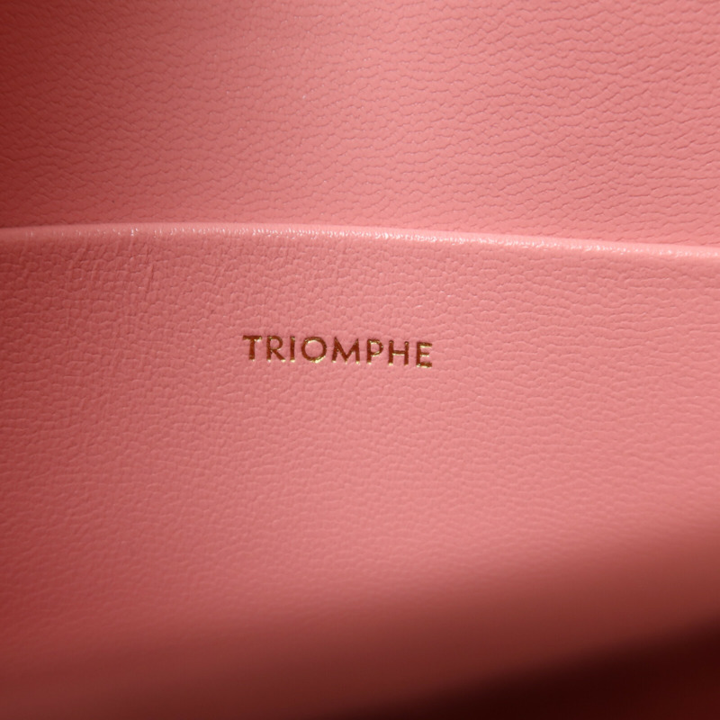 CELINE 牛皮皮革Teen Triomphe金扣肩背袋-7