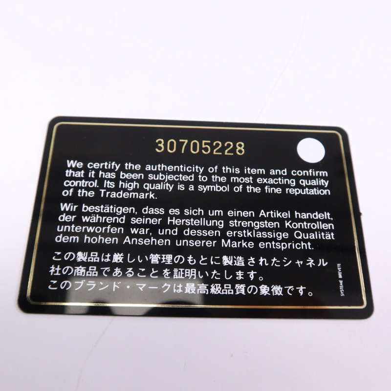 CHANEL 羊皮皮革Chanel 19 Large鏈帶手挽肩背兩用袋-14