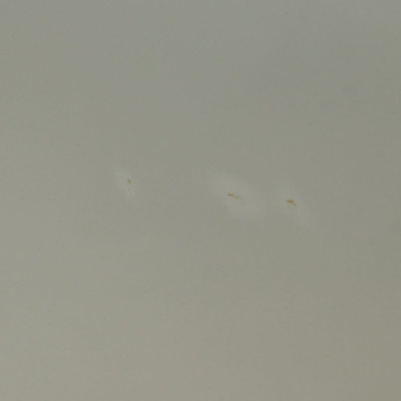 【日本直送】FENDI 白色金色皮革手提包，貨號 163410M-8