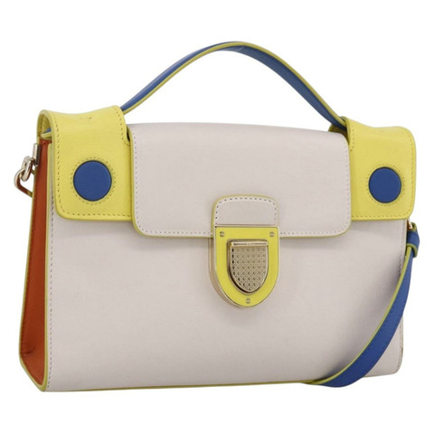 Christian Dior 皮革肩背包 多色金色 Auth LNZ023V