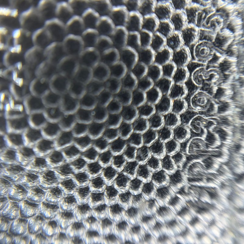 Saint Laurent Monogram Woc 链条包-3