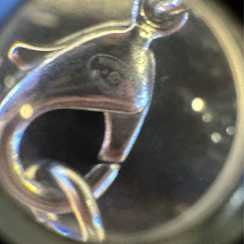 香奈兒 方熌石項錬 全新購自巴黎 保正真品-2