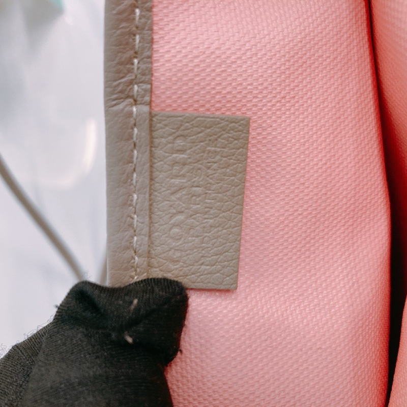 TW4766 GOYARD 戈雅特別版兩用皮帶包包POITIERS CLAIRE VOIE BAG LIMITED EDITION CANVAS-13