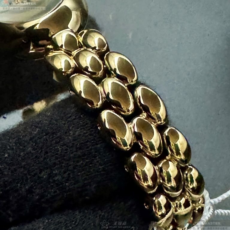 COACH手錶,編號CH00262,22mm, 28mm金色錶殼,金色錶帶款-4