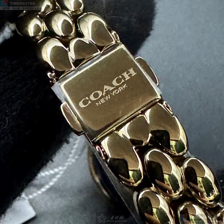 COACH手錶,編號CH00262,22mm, 28mm金色錶殼,金色錶帶款-5