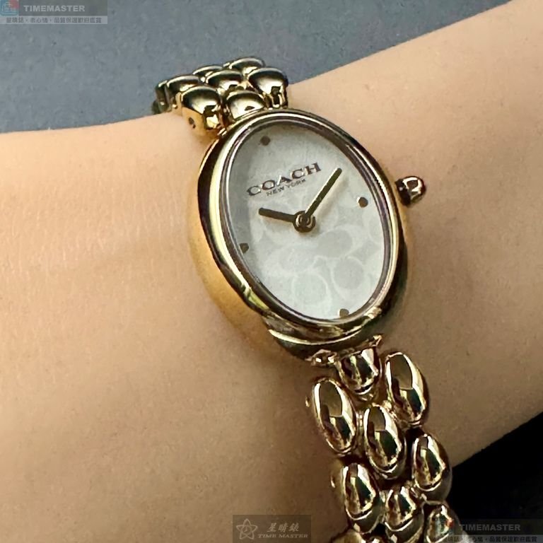 COACH手錶,編號CH00262,22mm, 28mm金色錶殼,金色錶帶款-6