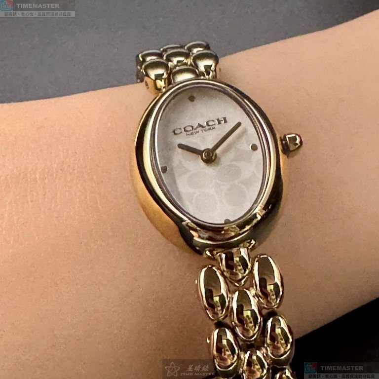 COACH手錶,編號CH00262,22mm, 28mm金色錶殼,金色錶帶款-7