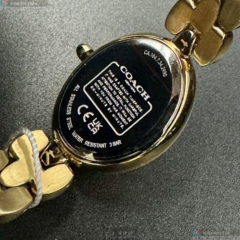 COACH手錶,編號CH00262,22mm, 28mm金色錶殼,金色錶帶款-8
