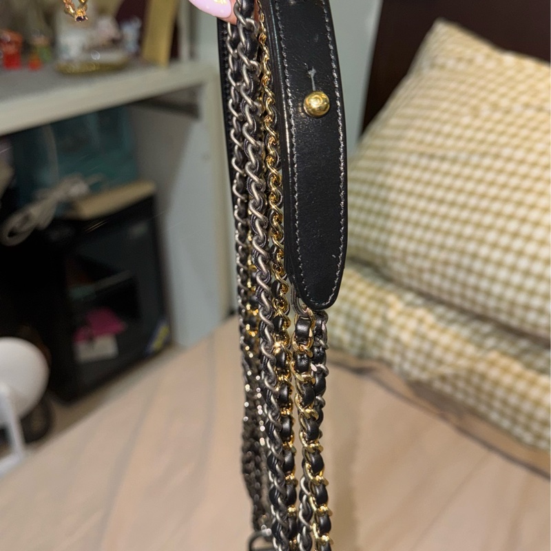 Chanel流浪包 小款-7