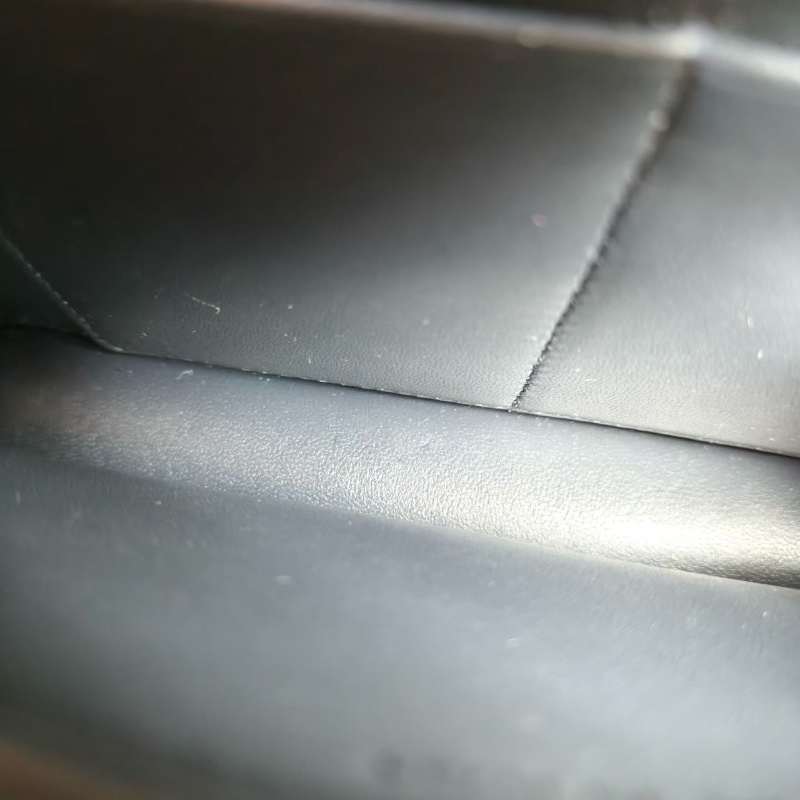 Dior Diorma Woc盾牌鏈條包 香檳金 牛皮19*12*4  98新配件鏈條 塵袋-2