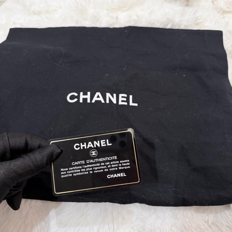 Chanel Runway Vintage/ 冰塊包-18