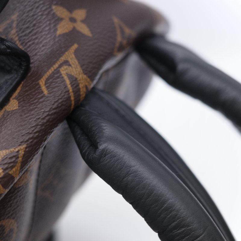 Louis Vuitton 路易威登 Palm Springs MM 老花 帆布皮革飾邊 雙肩包 後背包-17