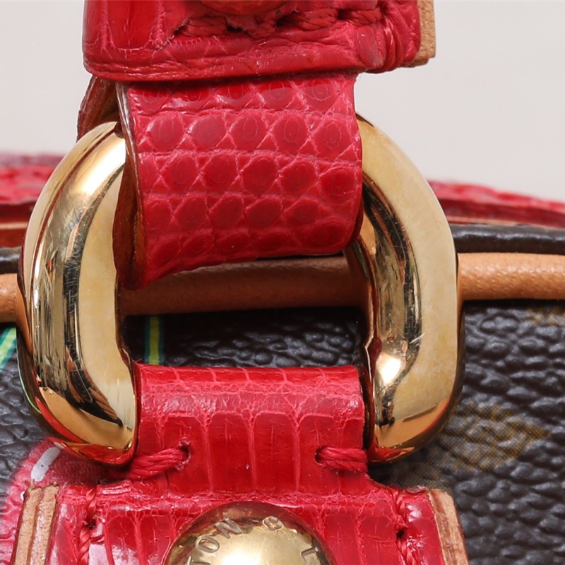 LOUIS VUITTON 中古村上隆櫻桃限定蜥蜴皮手提包印花肩背包-4