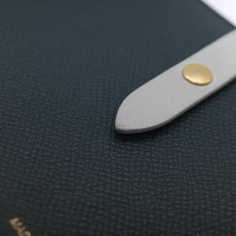 Celine 思琳 Strap 大號 綠色粒面小牛皮 扣帶長夾-8