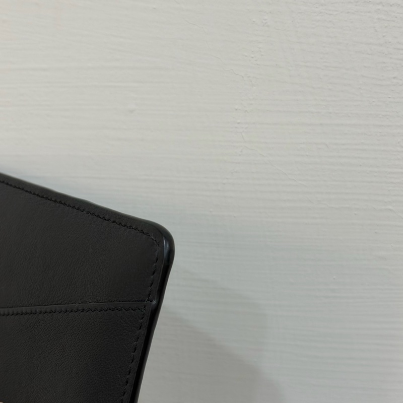 Loewe零錢包-11