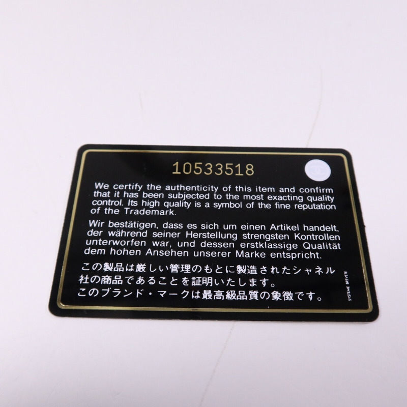 CHANEL 帆布Hand Bag銀扣手挽袋-17