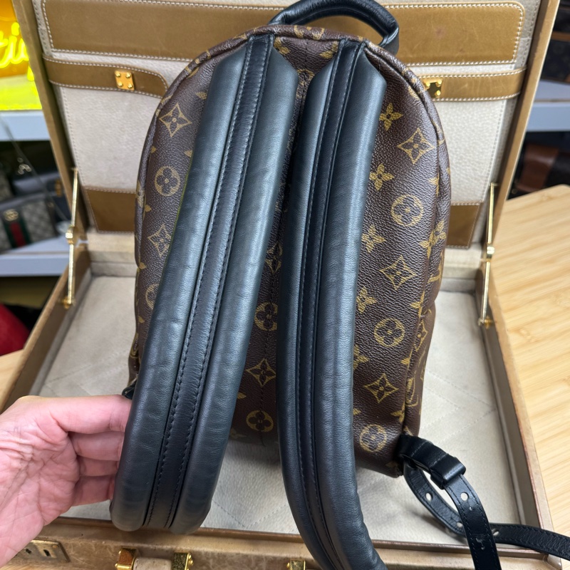 上架中🔑Louis Vuitton 老花Palm Springs 小款後背包-8