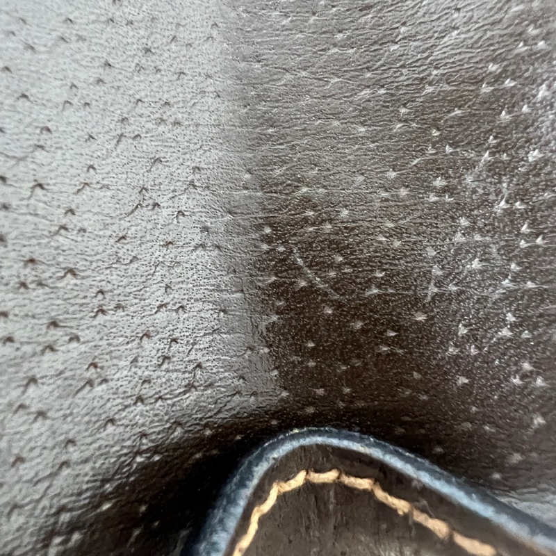 Gucci Ophidia系列夾子包-12