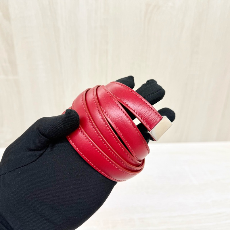 CELINE紅色銀釦牛皮Box小號斜背包-13