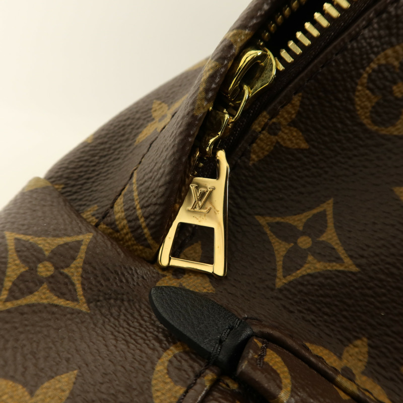 LOUIS VUITTON Monogram Palm Spring Backpack金扣背包-10