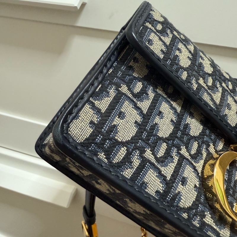 Dior 30 Montaigne east west bag-10