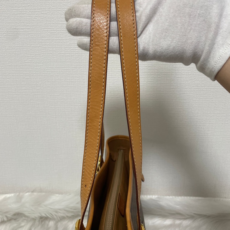 Celine 老花托特包-10