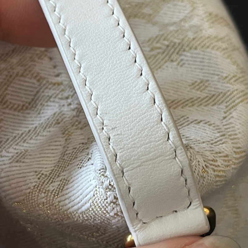 98新 DIOR/迪奧 飯盒包24年 無附件-6