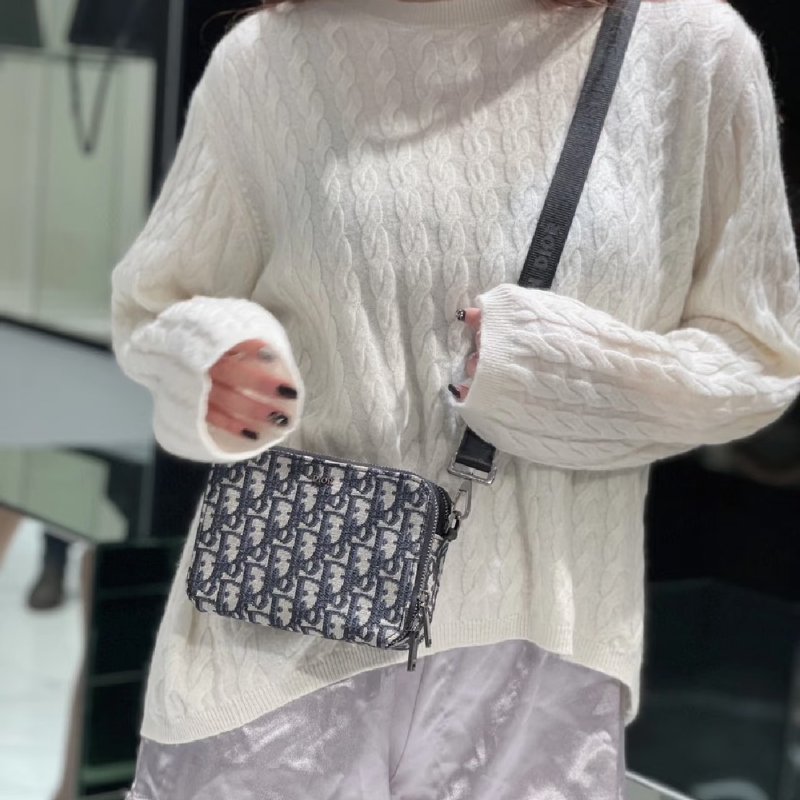 DIOR Oblique老花相機包-15