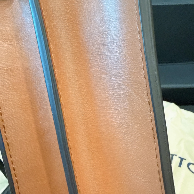 未拆膜✨Louis Vuitton✨Lv達芙尼Dauphine單肩包斜背包芯片款 小號-15