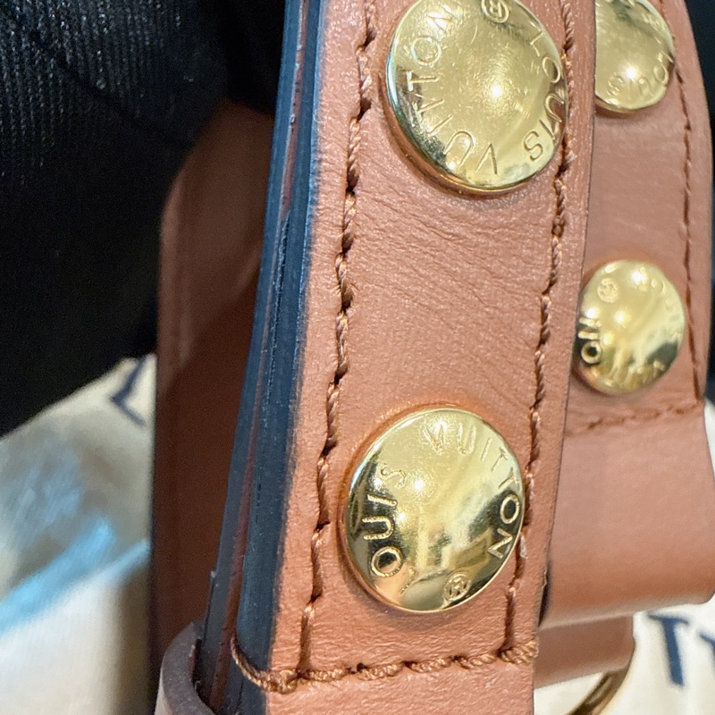 未拆膜✨Louis Vuitton✨Lv達芙尼Dauphine單肩包斜背包芯片款 小號-31