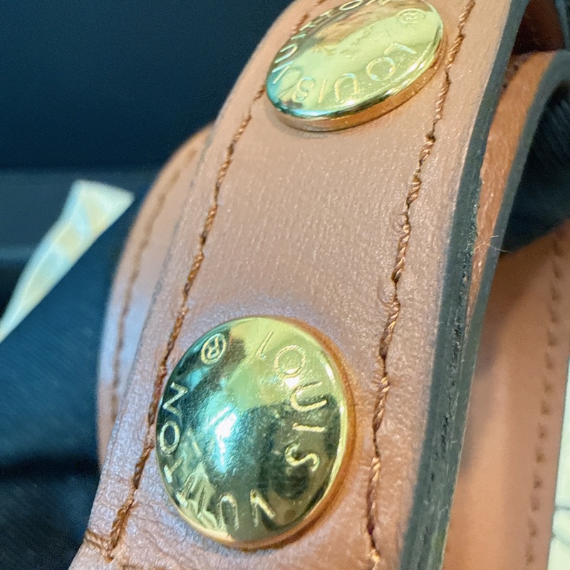 未拆膜✨Louis Vuitton✨Lv達芙尼Dauphine單肩包斜背包芯片款 小號-32