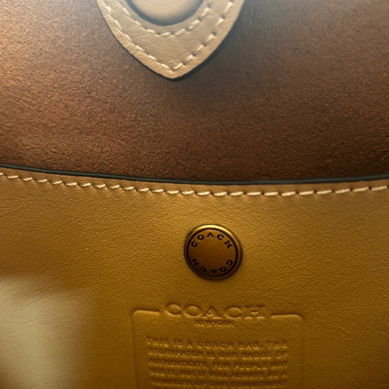 COACH BROOKLYN 28 單肩手袋-12