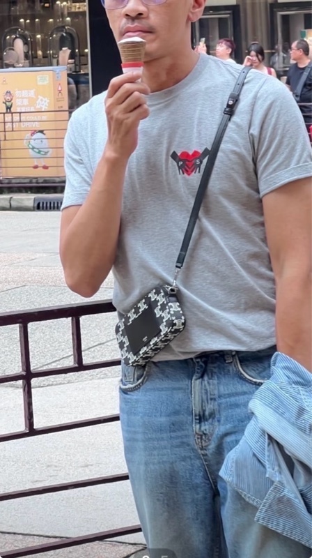Celine Triomphe 老花帆布斜背包