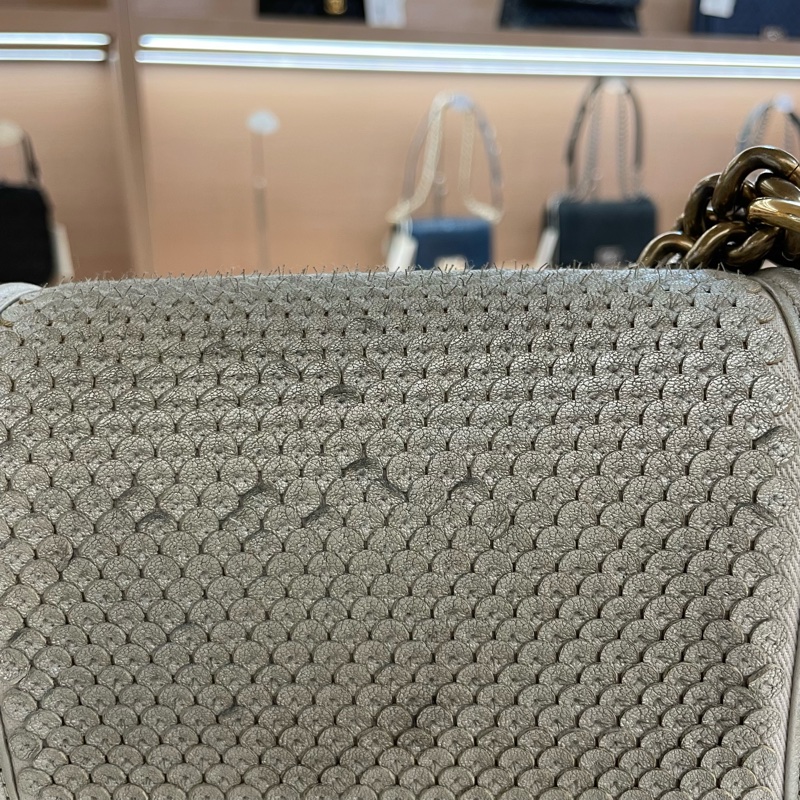 Chanel 香奈儿 蛇纹Leboy小號20开 限量款 精致立体花朵 非常洋气 正常使用痕迹-14