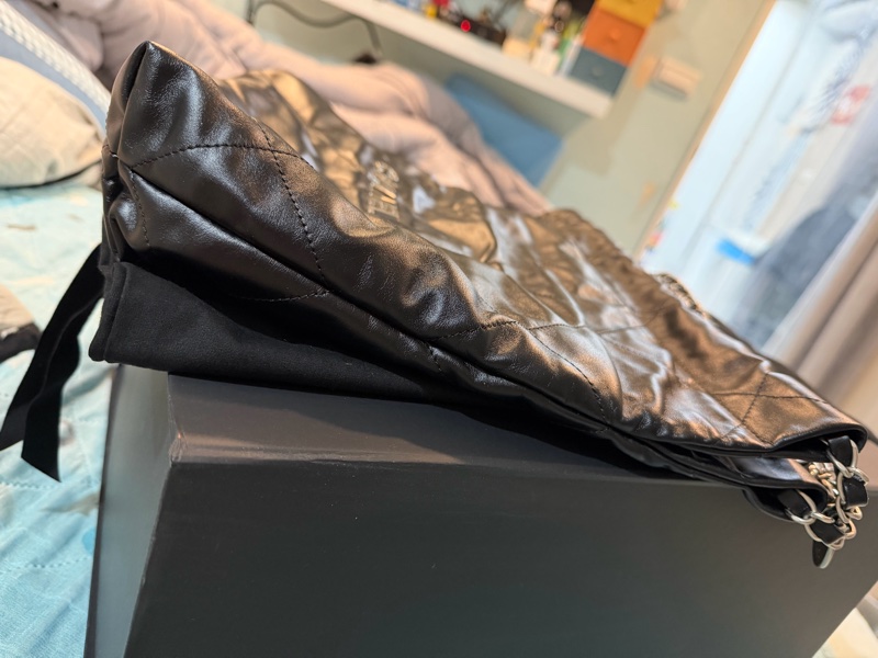 Chanel 22 bag  銀釦 （小號）-14