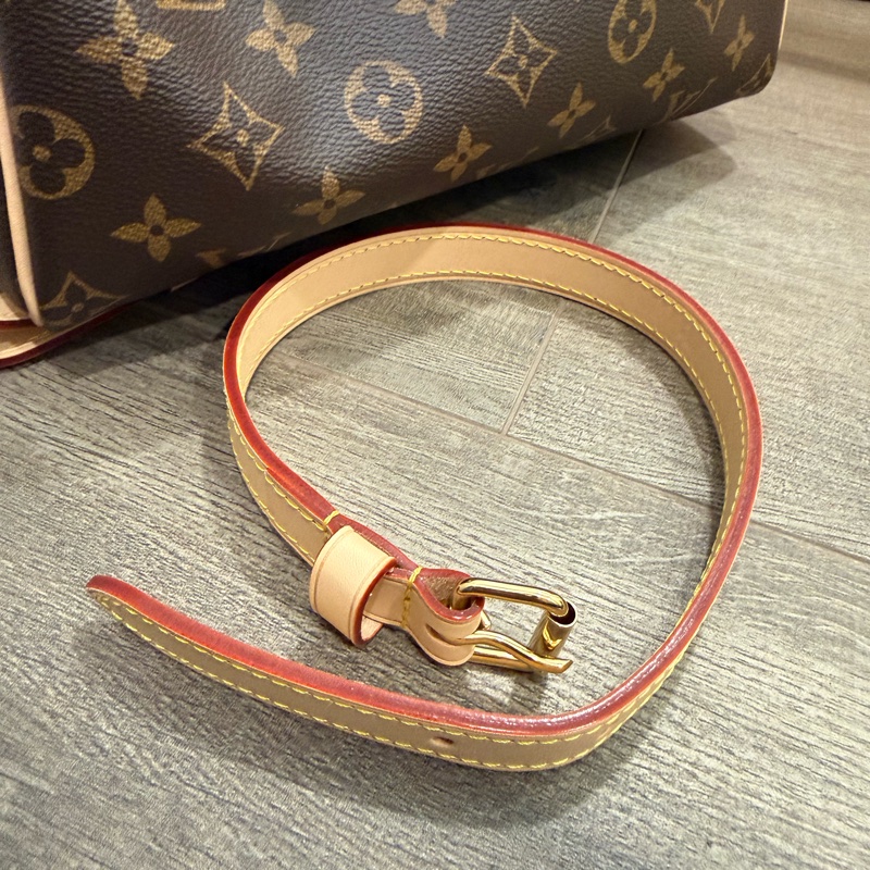 Louis Vuitton Speedy 25-12