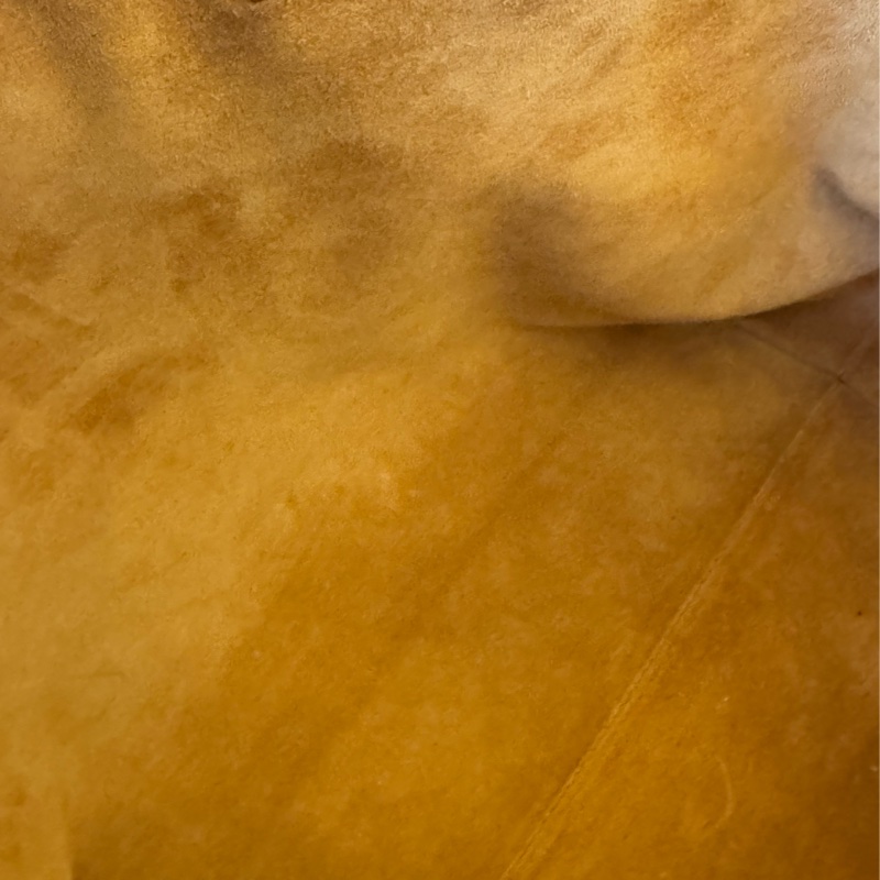 LV M25342棕皮革金鎖頭雙肩包 超時髦-22