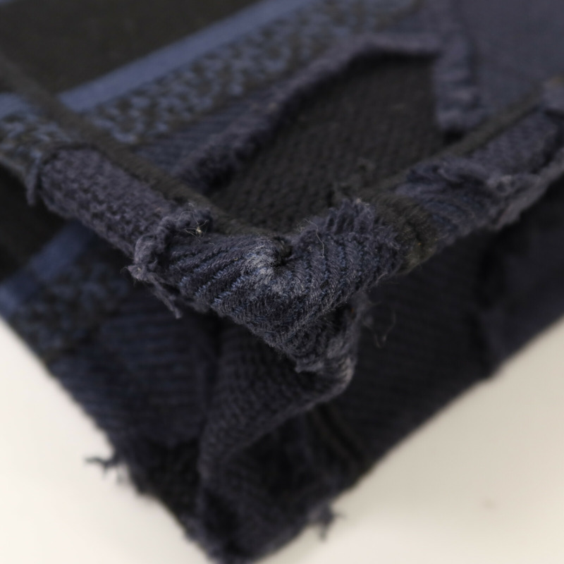 Dior 帆布Mini Book Tote手挽袋-12