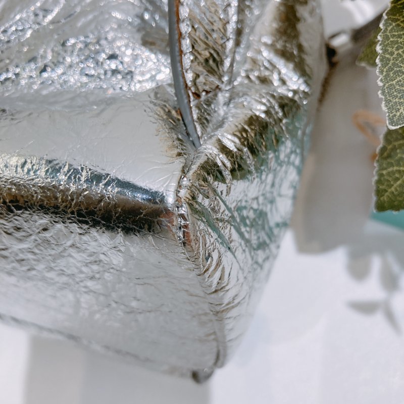 2227Jimmy Choo Mini Backpack Sliver-28