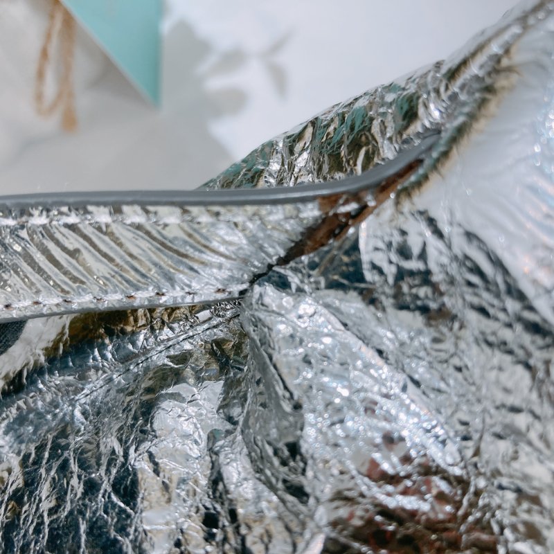 2227Jimmy Choo Mini Backpack Sliver-29