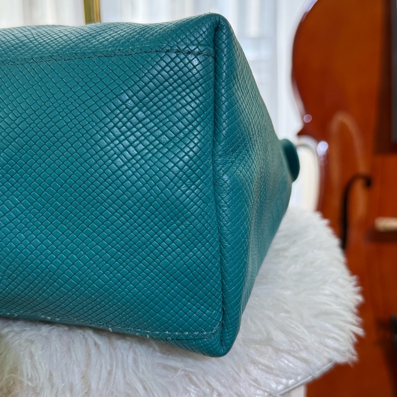 🌸Longchamp 藍綠色/綠松石色 |弧形肩背包(hobo bag)-12