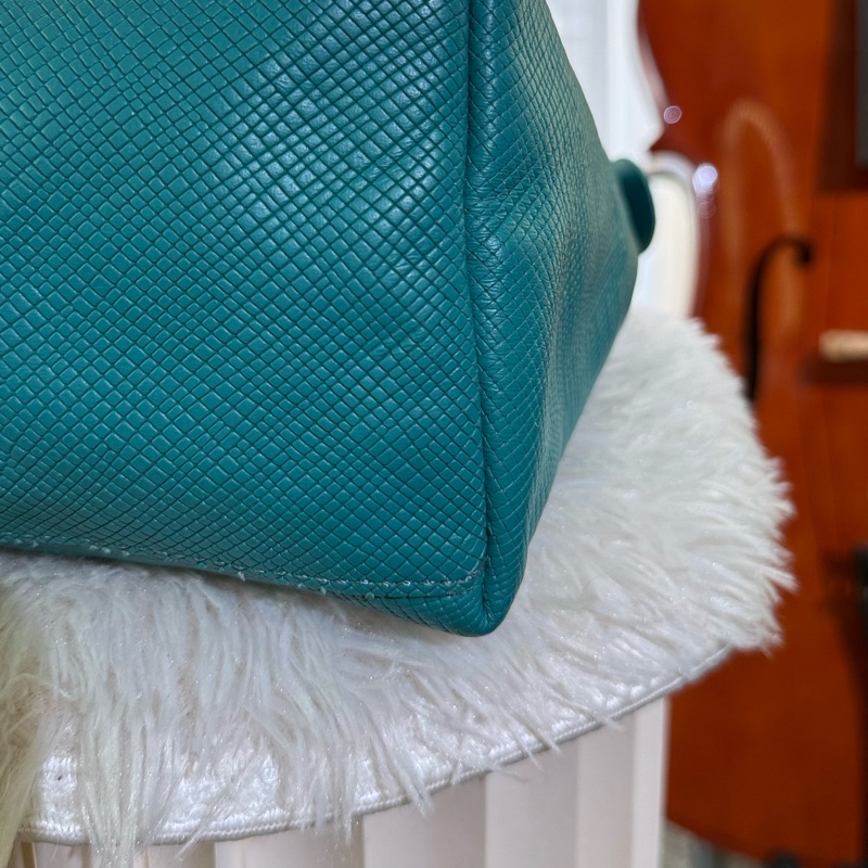 🌸Longchamp 藍綠色/綠松石色 |弧形肩背包(hobo bag)-33