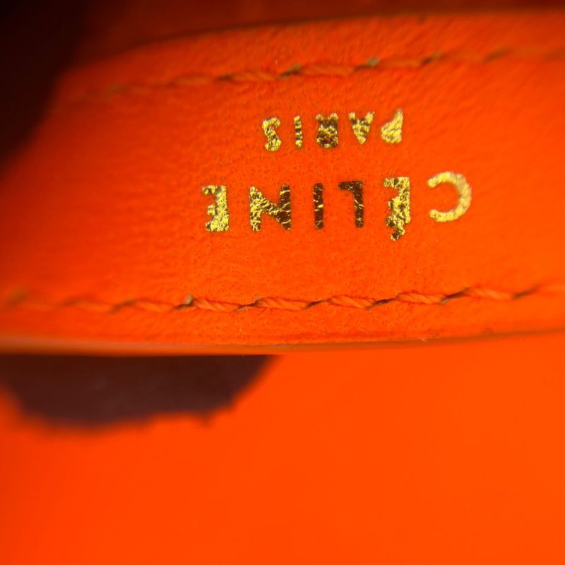 CÉLINE 蟒蛇皮手拿包-1