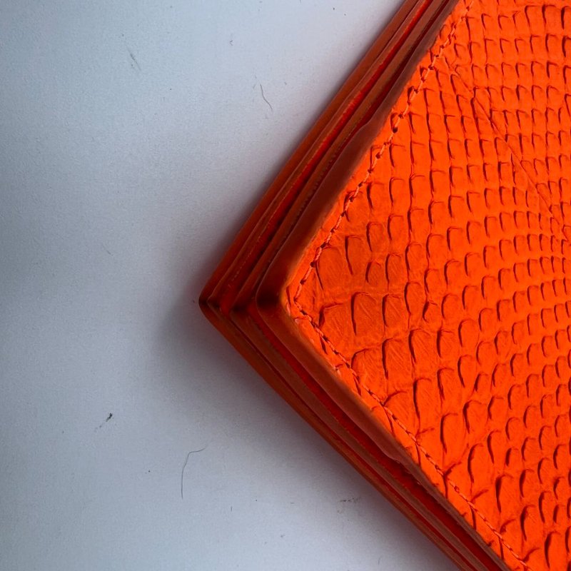 CÉLINE 蟒蛇皮手拿包-10