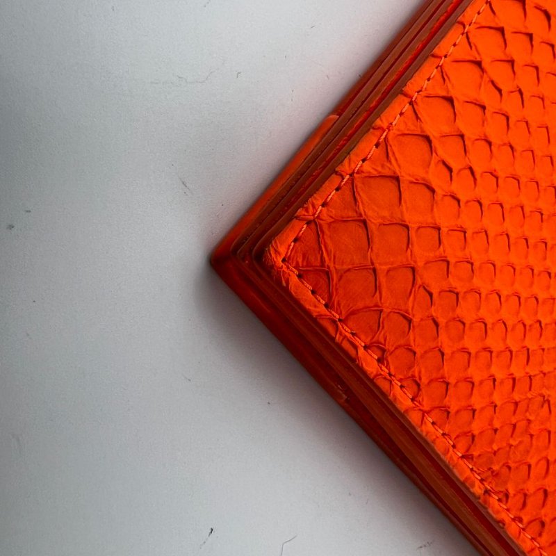 CÉLINE 蟒蛇皮手拿包-11