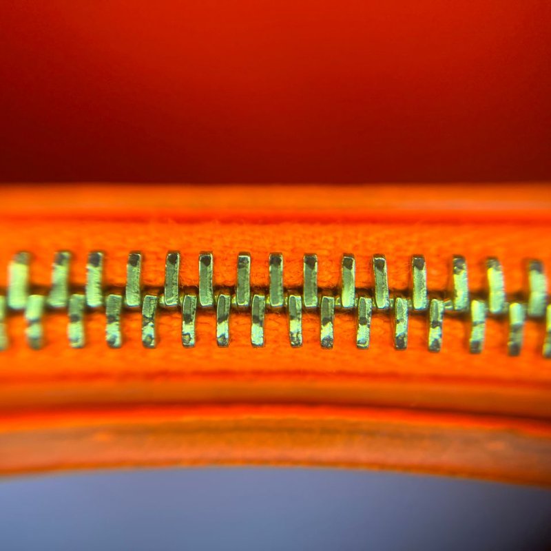 CÉLINE 蟒蛇皮手拿包-13