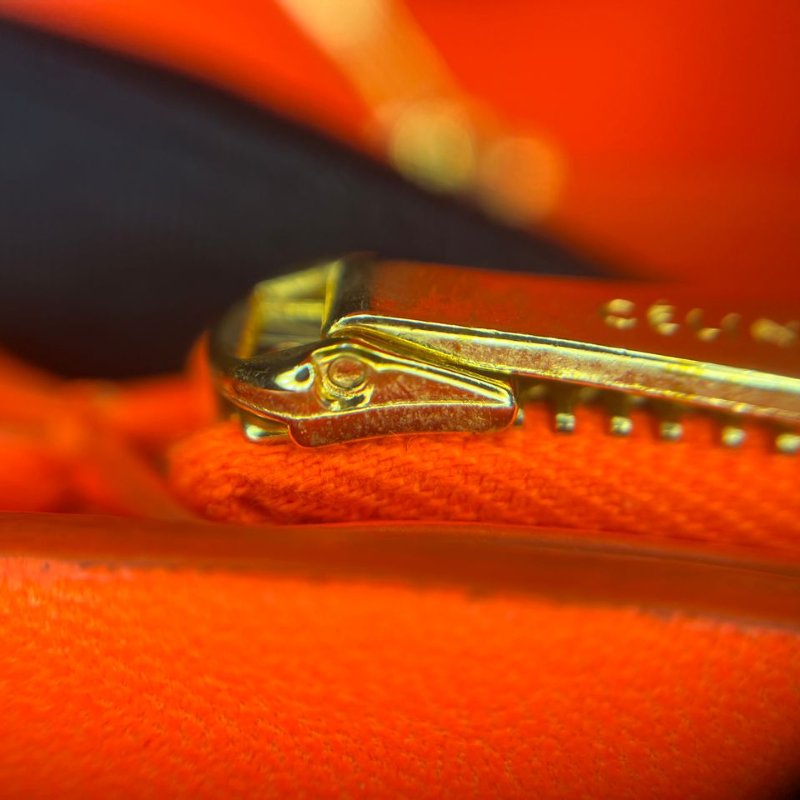 CÉLINE 蟒蛇皮手拿包-16