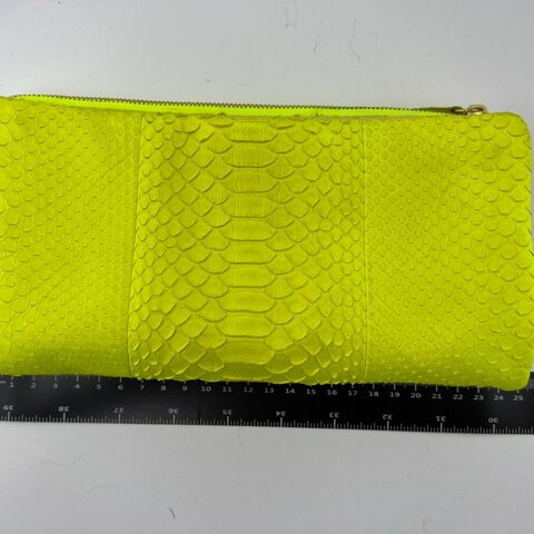 CÉLINE 蟒蛇皮手拿包