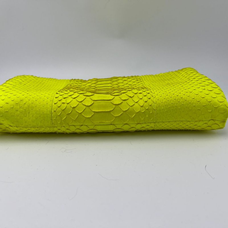 CÉLINE 蟒蛇皮手拿包-10