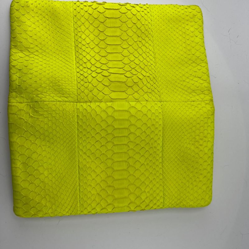 CÉLINE 蟒蛇皮手拿包-11